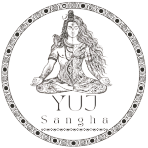 logo 2 removebg preview